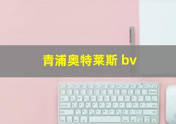 青浦奥特莱斯 bv